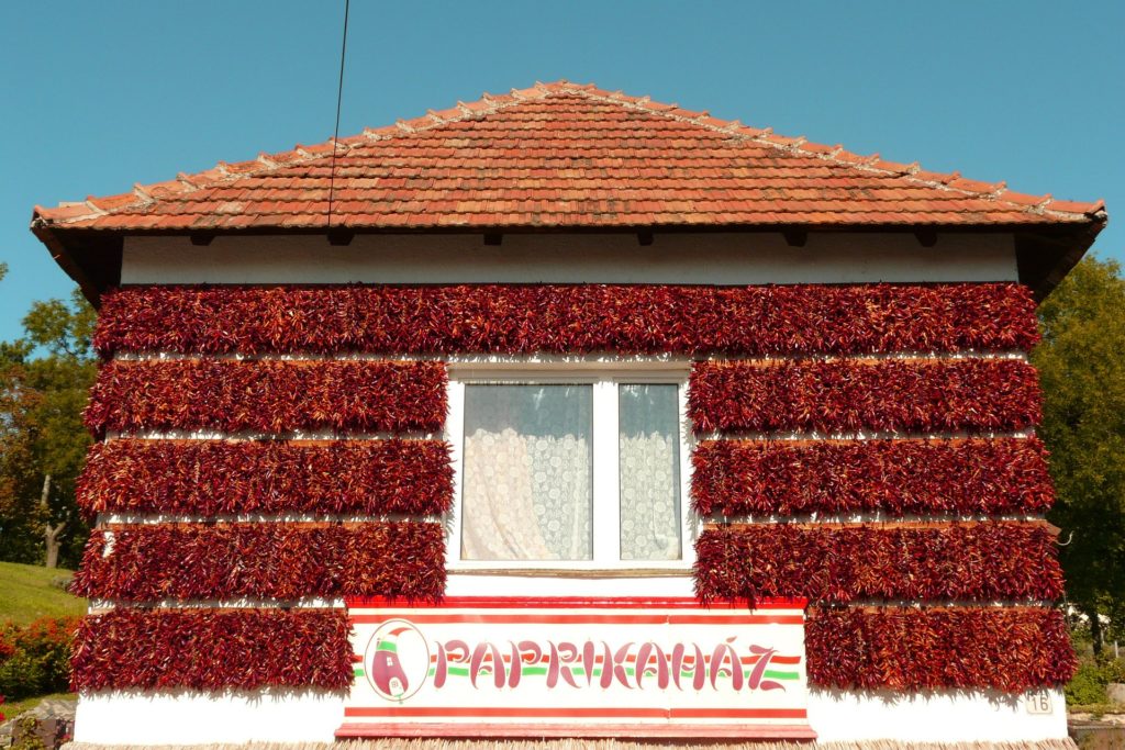 hungarian kitchen 