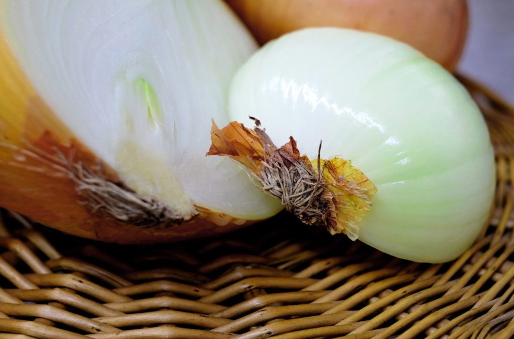 onion-1144627_1280