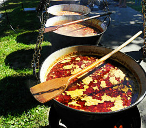 chicken goulash